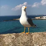 Attico In Riva Al Mare *